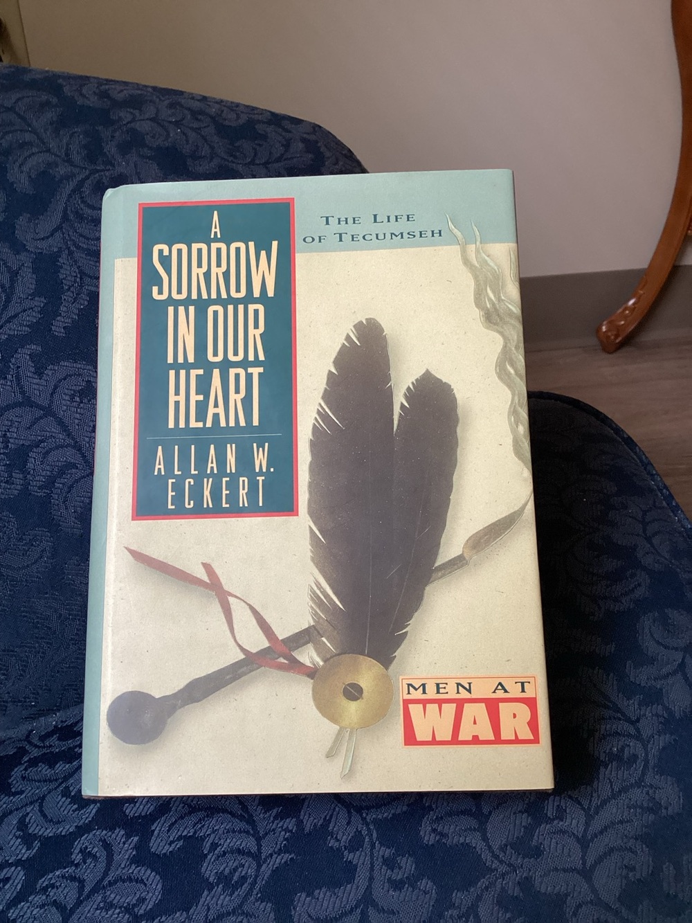 A Sorrow In Our Heart by Allan W. Eckert